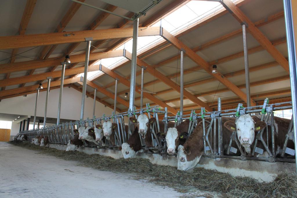 Ganhoer- Fam. Kaar Wintersdorf Exterior photo
